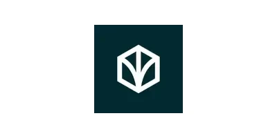 BSF