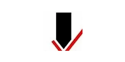 CustomForm