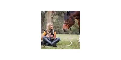 Happy Horse