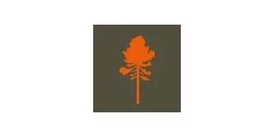 Pinewood