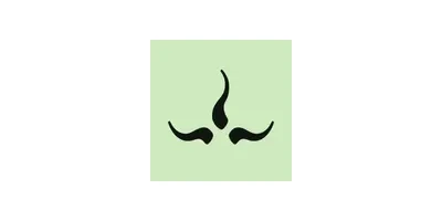 PrAna