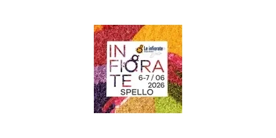SPELLO